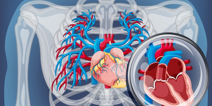 Understanding the Bidirectional Link: Exploring Cardiorenal Syndrome